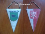 Proporczyk - Białowieża